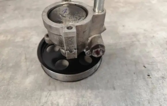 Opel Vivaro Power steering pump 31642502