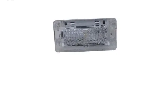 Tesla Model S Front seat light 1INJ907000