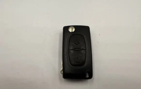 Peugeot 207 Ignition key/card 