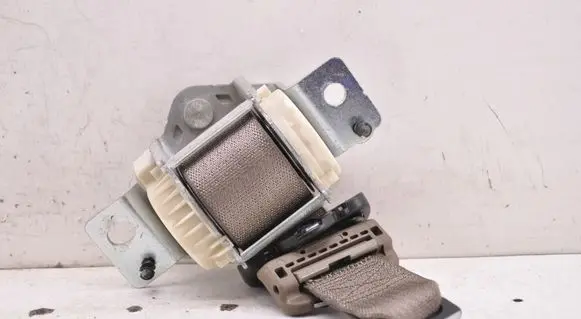 Chrysler Town & Country V Roof seat belt P0ZV841L5AB 163112R