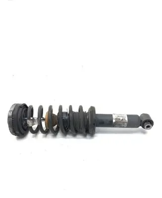 BMW X3 F25 Rear shock absorber/damper 6796317 6787203