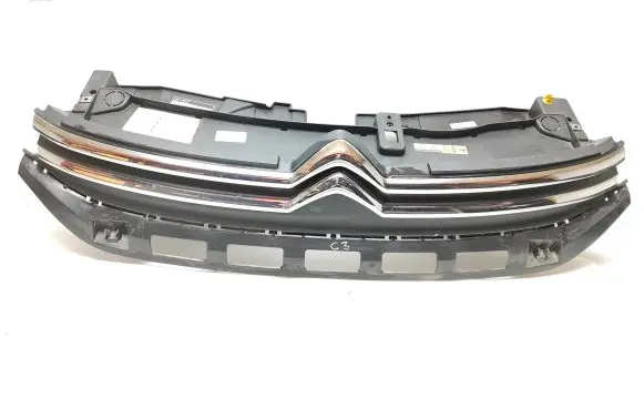 Front bumper upper radiator grill