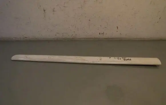 Citroen C5 Front door trim (molding)