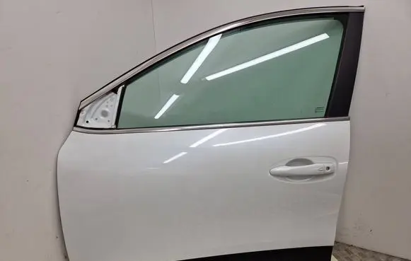 Renault Kadjar Front door 