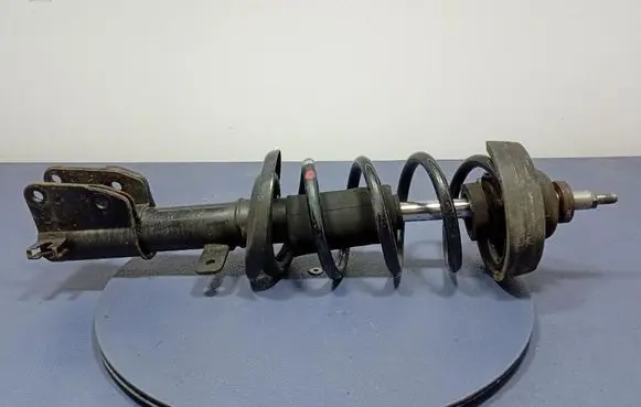 Opel Vivaro Front shock absorber with coil spring 543029028R