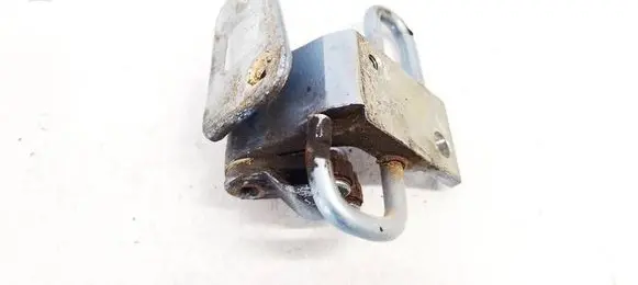 Volkswagen PASSAT B6 Rear door lower hinge