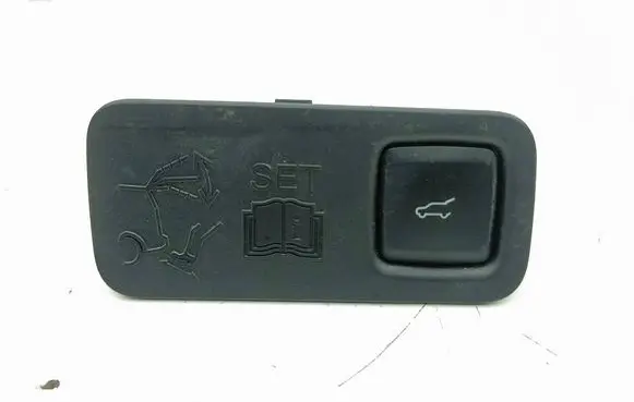 Ford Mustang Mach-E Tailgate/boot open switch button LJ8BR40726CB BYB1A