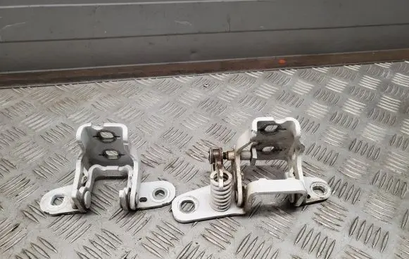 Dodge RAM Rear door hinge set 