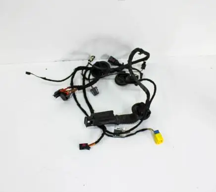 Front door wiring loom