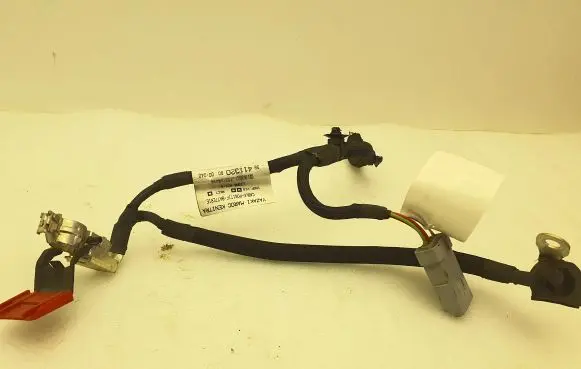 Citroen C4 III e-C4 Positive cable (battery) 9841132080