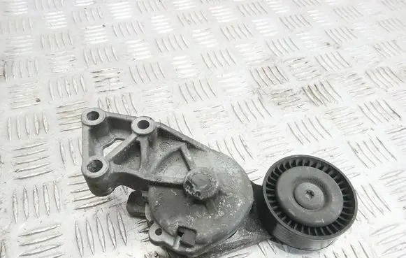 Volkswagen Bora Alternator belt tensioner 