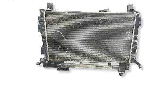 Dacia Duster Coolant radiator 8200880550