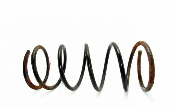 Mitsubishi Pajero Sport I Rear coil spring