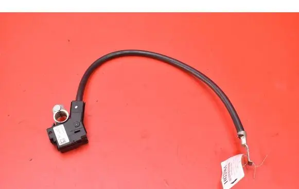 Other wiring loom