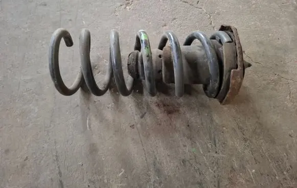Rear coil spring