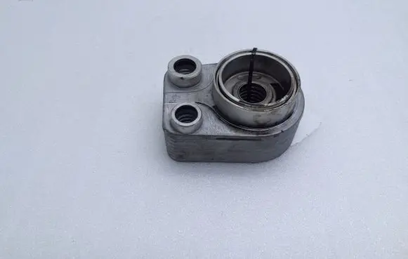 Nissan Qashqai Oil filter mounting bracket 213059324R