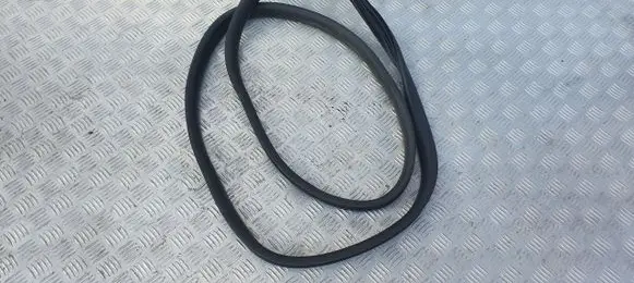 Dacia Sandero III Front door rubber seal PU11847