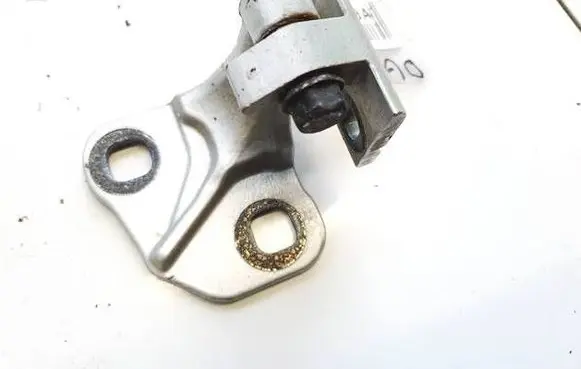 Rear door lower hinge