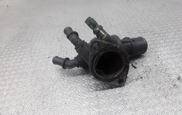 Thermostat/thermostat housing