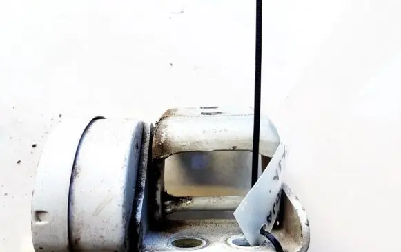 Renault Scenic II - Grand scenic II Rear door lower hinge