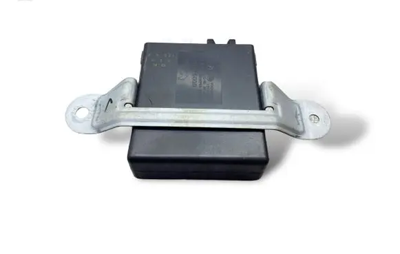 Hyundai Santa Fe Other control units/modules 9875026000