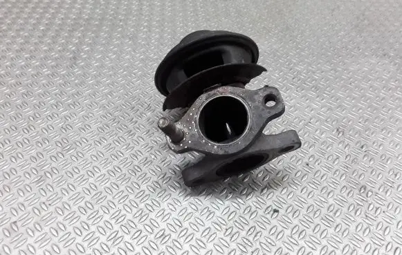 Hyundai Terracan EGR valve