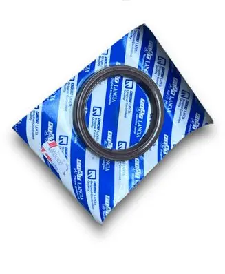 Fiat Ducato Sunroof sealing rubber 40004300