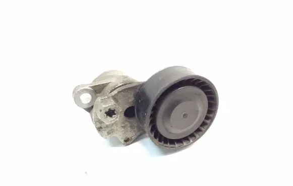 Volkswagen Jetta VI Alternator belt tensioner F56822405 04E145299L