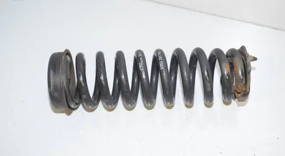 Rear coil spring