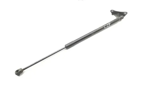 Tailgate/trunk strut/damper