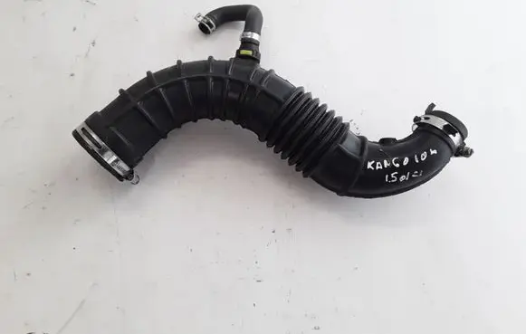 Renault Kangoo II Coolant pipe/hose 8200500384