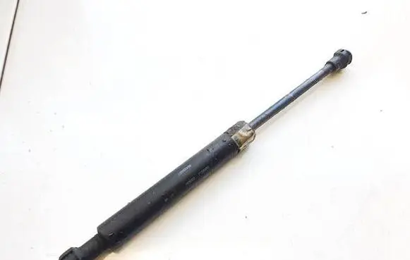 Tailgate/trunk strut/damper