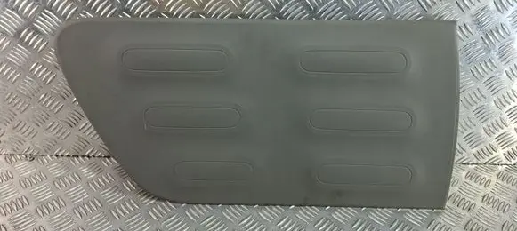 Citroen C4 Cactus Rear door trim (molding) 9801023680