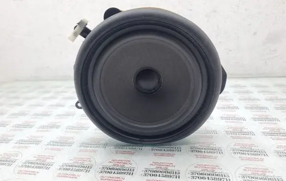 Rear door speaker