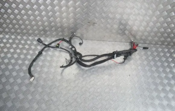 Mercedes-Benz S W222 Positive wiring loom 