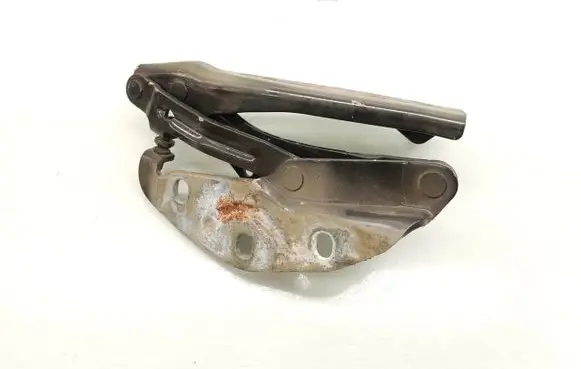 Volkswagen Phaeton Engine bonnet/hood hinges 3D0823302D