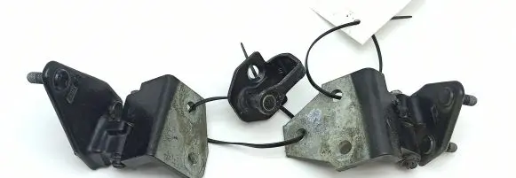Rear door hinge set