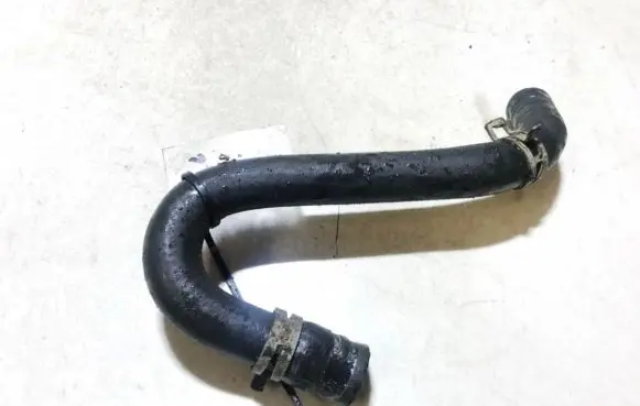 Ford Focus Engine coolant pipe/hose