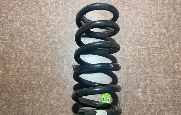 Ford Mustang VI Rear coil spring FR3C5560KA
