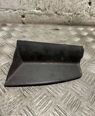 Rear/tail light trim molding