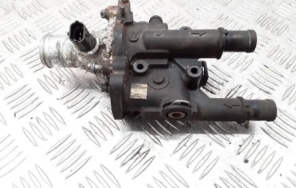 Thermostat/thermostat housing