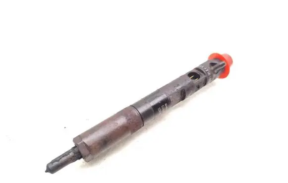 Renault Kangoo I Fuel injector 8200676774 EJBR05101D