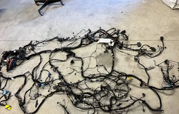 BMW X1 F48 F49 Other wiring loom