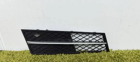 BMW 5 F10 F11 Front bumper lower grill 51117200700 7200700