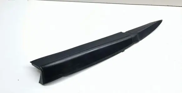 Rear/tail light trim molding