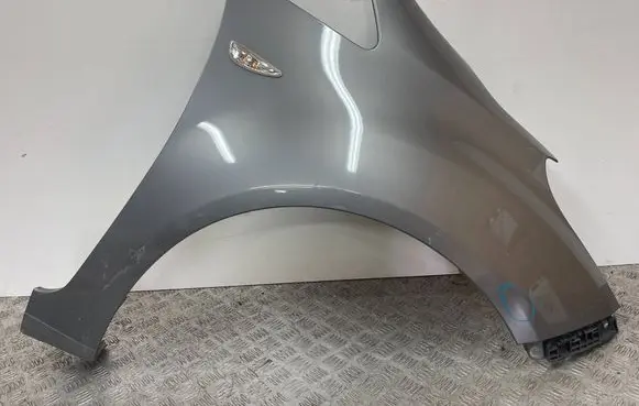 Fender