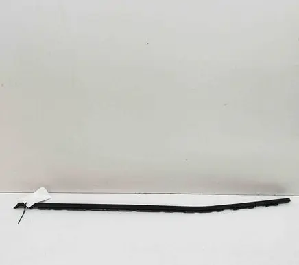 Peugeot 408 II Rear door glass trim molding 9843169380