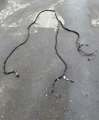 Renault Master III Loading door wiring loom 24163797R