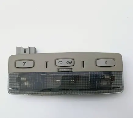 Renault Laguna II Front seat light 8200003036 8200033829