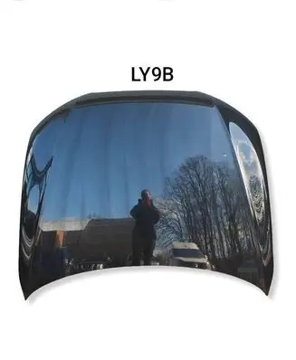 Audi A4 S4 B8 8K Engine bonnet/hood 